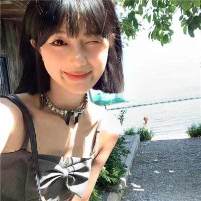 棕榈树森林封面